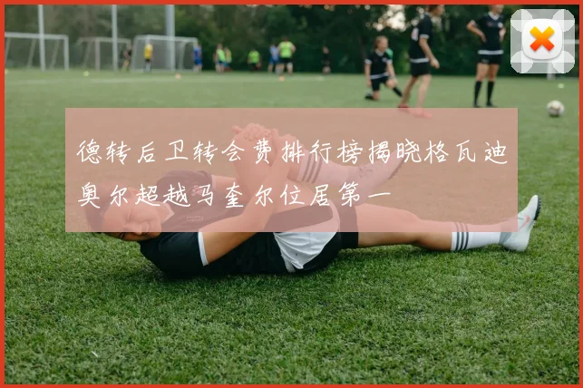 德转后卫转会费排行榜揭晓格瓦迪奥尔超越马奎尔位居第一