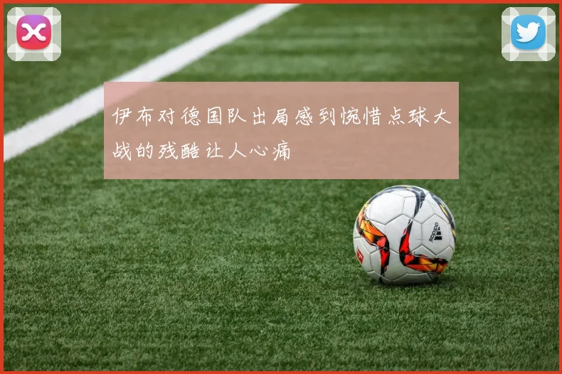 伊布对德国队出局感到惋惜点球大战的残酷让人心痛